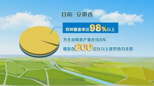 種業全鏈條創新，科技服務護航“江淮糧倉”建設