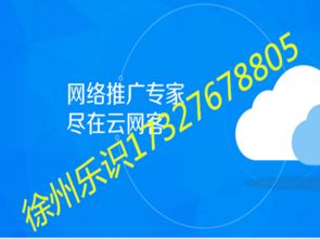 徐州網絡推廣新選擇 云網客效果解析與樂識公司技術服務評估