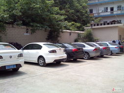 新起點(diǎn)汽車租賃 智能科技驅(qū)動(dòng)的未來出行服務(wù)